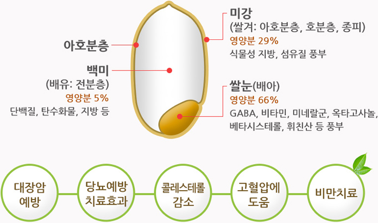 현미 효능