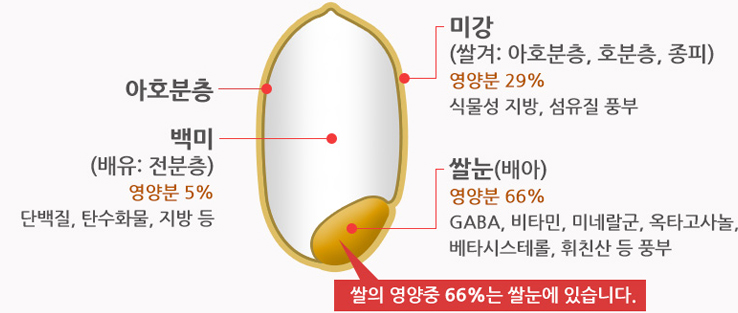 쌀눈쌀 효능