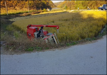 풍년이 되기를…