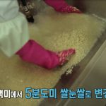 MBN특집다큐 쌀의숨겨진 비밀